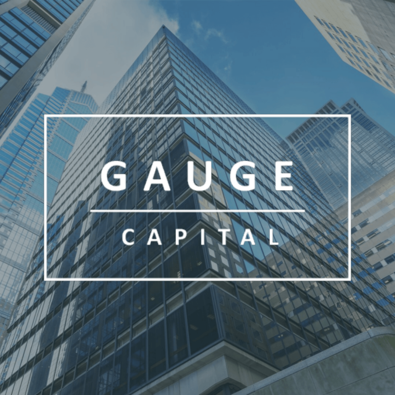 Partnership with Gauge Capital